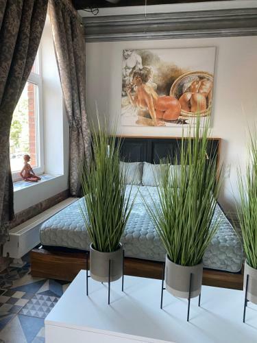 Art Tirgo?u Apartament