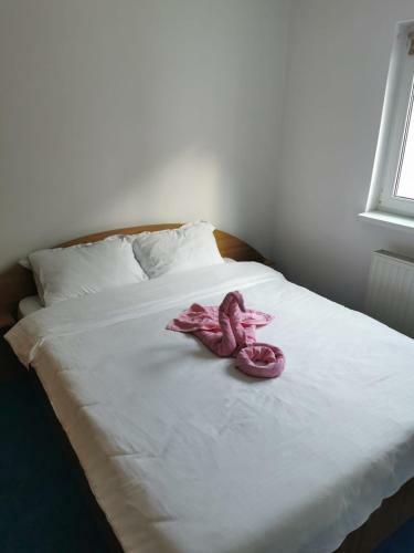 Apartament Langa Castan