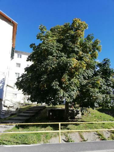 Apartament Langa Castan