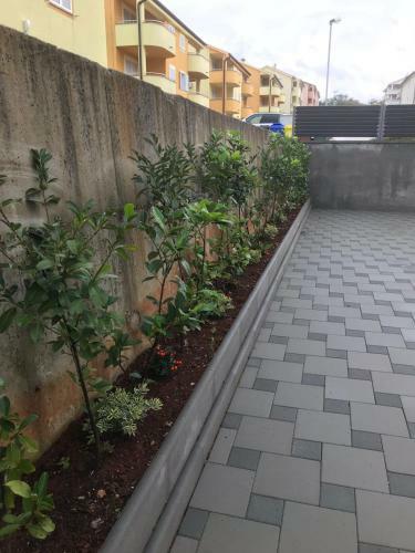Apartments Ibis