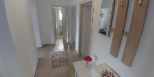 Apartments Ibis