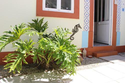 Bed & Breakfast Casa O Futuro