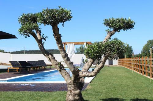 Villa Monte Teo- Casa E Piscina Privada