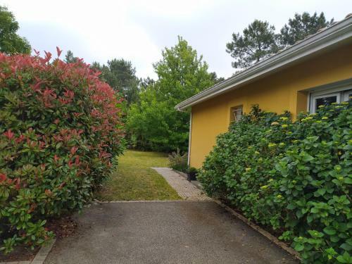 Bed & Breakfast Villa Maryne