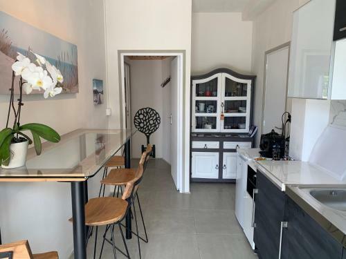 Hostal La Maison Du Cotton- Gite Bio-climatique