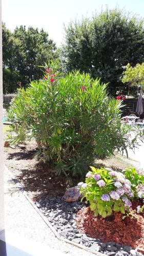 Bed & Breakfast La Villa Sainte Catherine