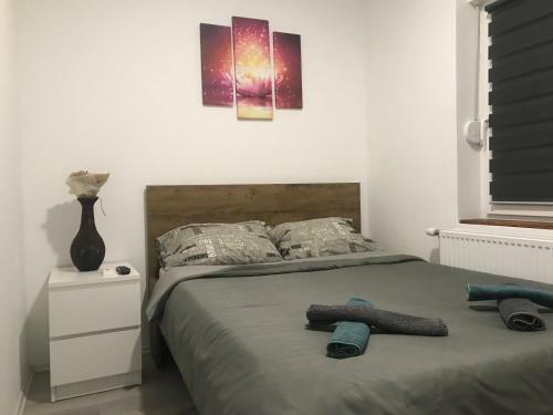 Zen Apartmani