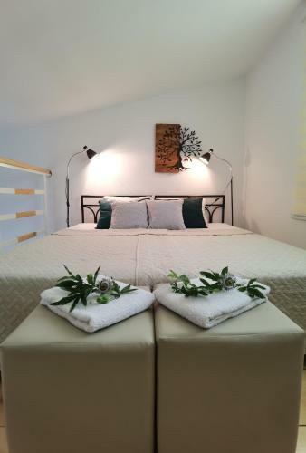 Zona Apartments 2 Zrenjanin
