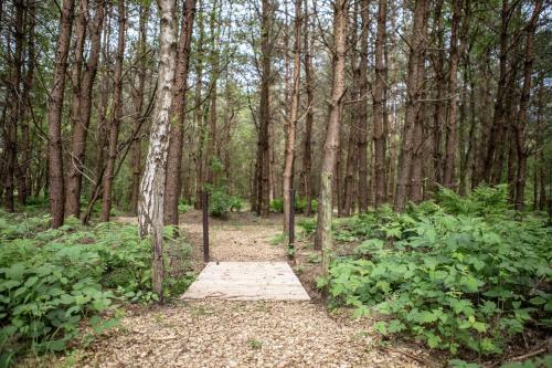 Bed & Breakfast Natuur Lodge