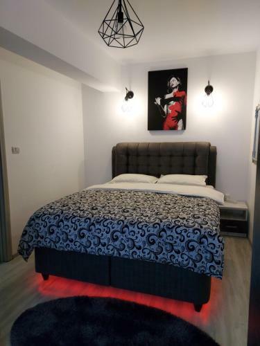 Dream Arena Apartment