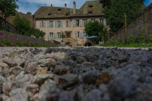 Villa Jardin De L'abbaye, Demeure De Charme