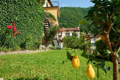 Mi C� Argegno Lake Como With Jacuzzi & Dependance