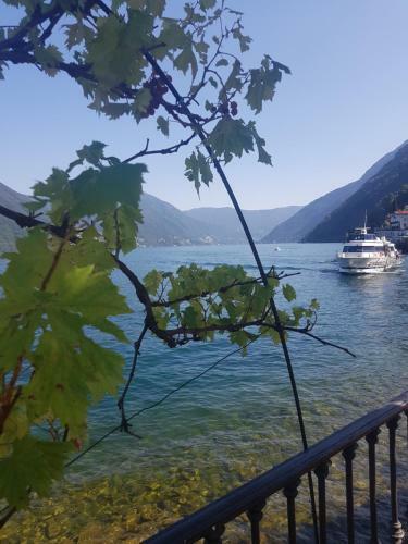 Apartamento Villa Sara - Seeblick - Sea View