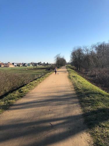 G�te Wellness Le Six H