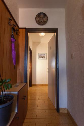 Apartman Budimir1