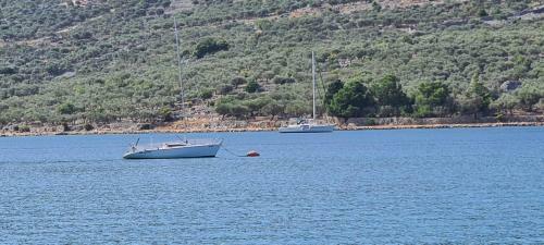 Studio Apartman Loreta