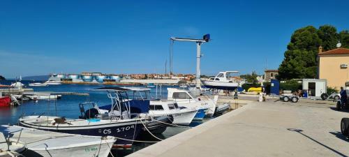 Studio Apartman Loreta