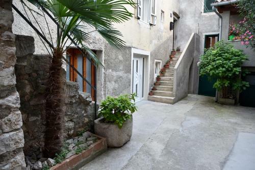 Apartman Marko Cres