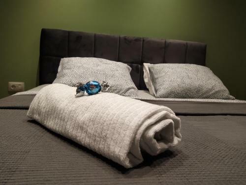 Luxury Apartment - Old Soul With A New Heart