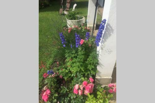 Hortenzia Cottage D�m�s