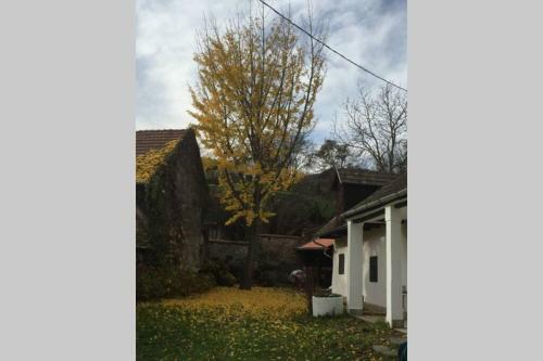 Hortenzia Cottage D�m�s