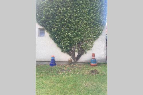 Hortenzia Cottage D�m�s