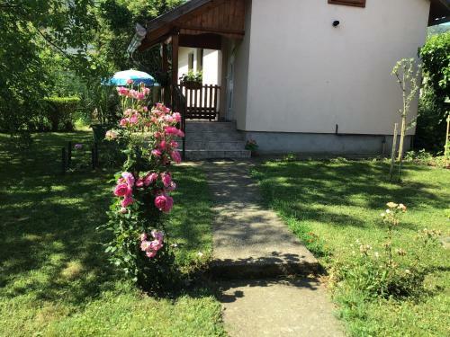 Mandala Apartman