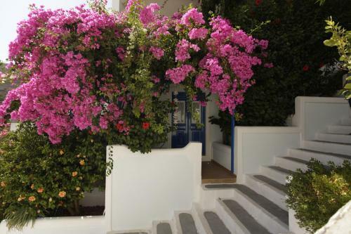 Apartamento Euthimia Luxury Studios