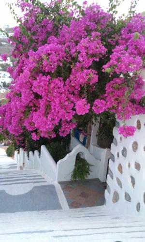 Apartamento Euthimia Luxury Studios