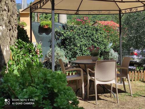 Rohouse - House And Garden