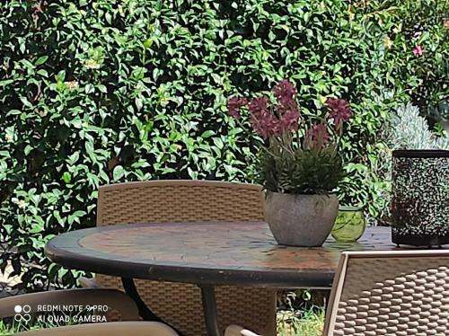Rohouse - House And Garden