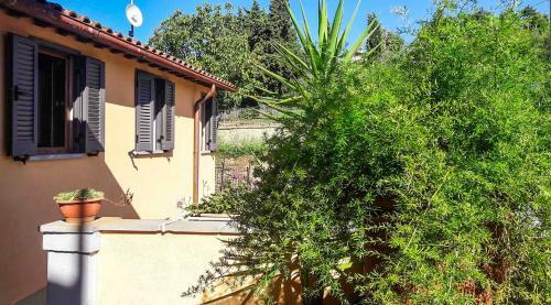 Rohouse - House And Garden