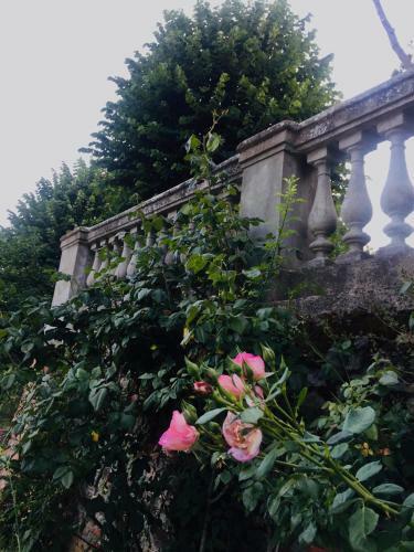 Villa Lya