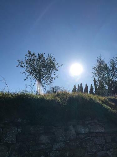 Paola's Villa, Tuscany