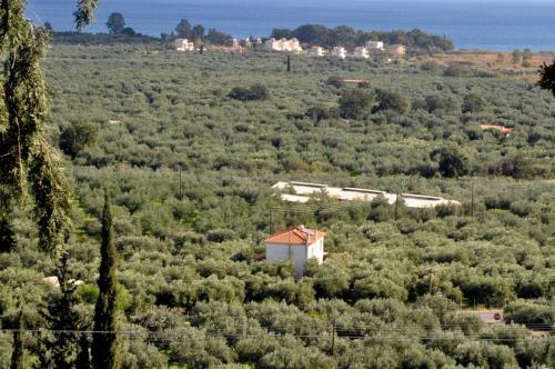 Villa Faidra's Farm