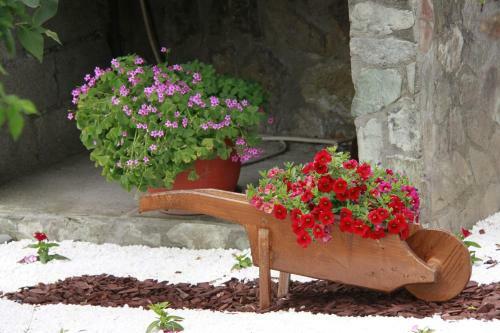 Hostal Pensiunea Andreea