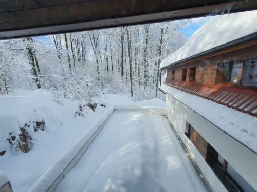 Hostal Pensiunea Black Mountain