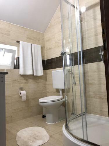 Hostal Pensiunea Montana Bor?a Mm