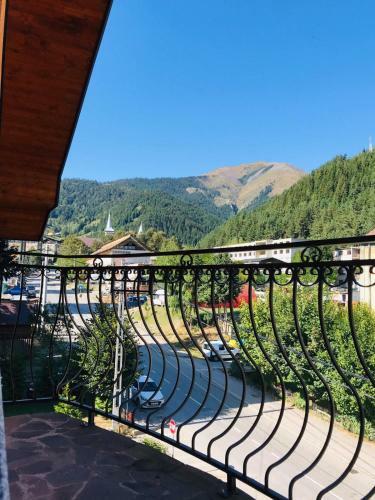 Hostal Pensiunea Montana Bor?a Mm