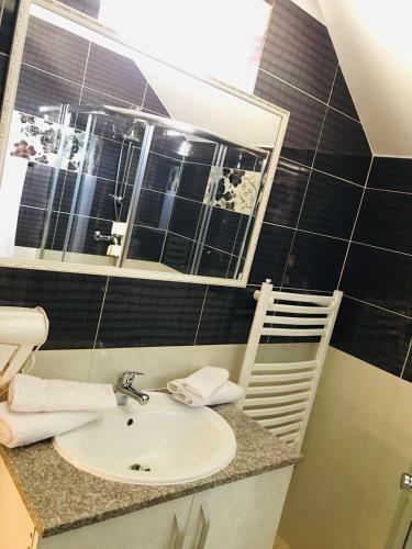 Hostal Pensiunea Montana Bor?a Mm
