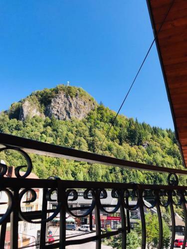 Hostal Pensiunea Montana Bor?a Mm
