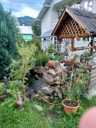 Hostal Vila Firuta Borsa
