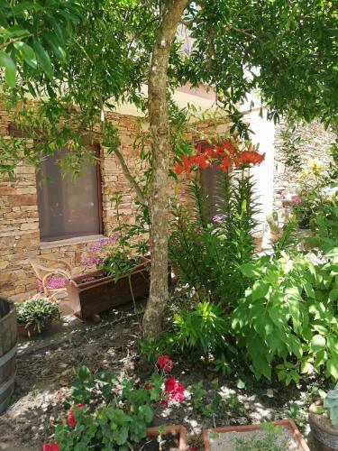 B&B L'agrifoglio