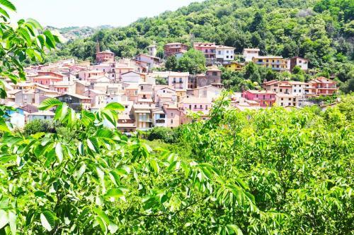Casa Vacanze Il Giardino - Appartamento Agrifoglio