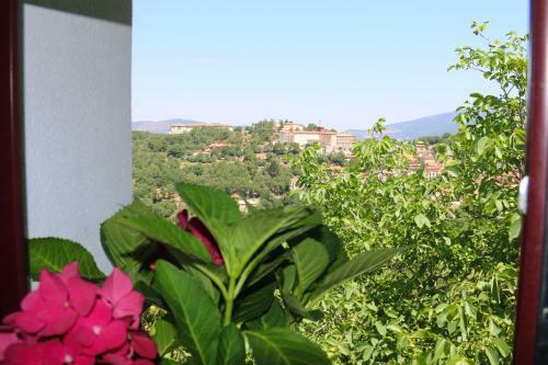 Casa Vacanze Il Giardino - Appartamento Agrifoglio