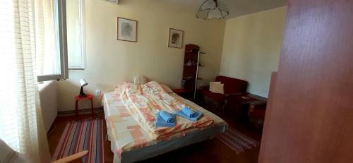 4 Krevetni Apartman Dm