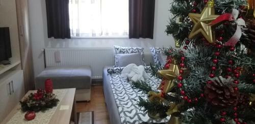 Alfa Apartmani