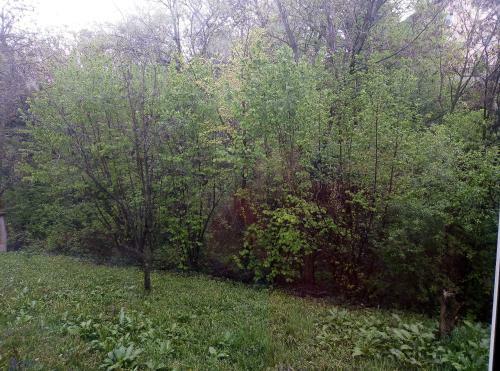 Hostal Apartman Miljkovic