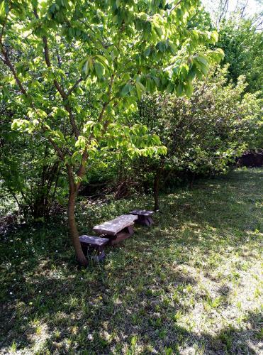 Hostal Apartman Miljkovic