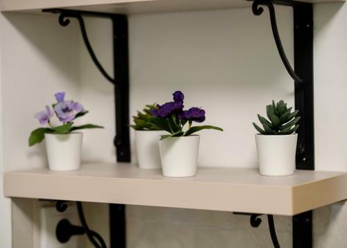 Villa Central Park Home Spa